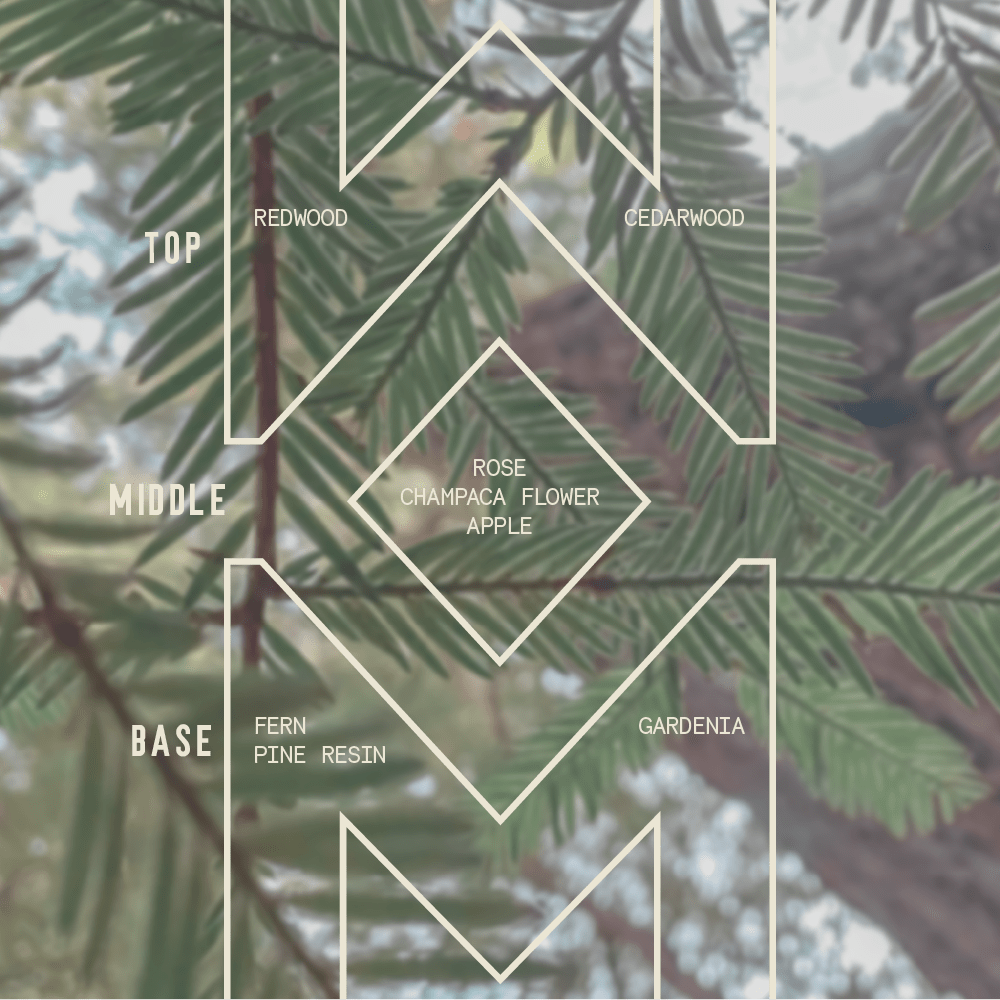 Sawdust & Embers Apothecary Candles Muir Woods - Signature Candle