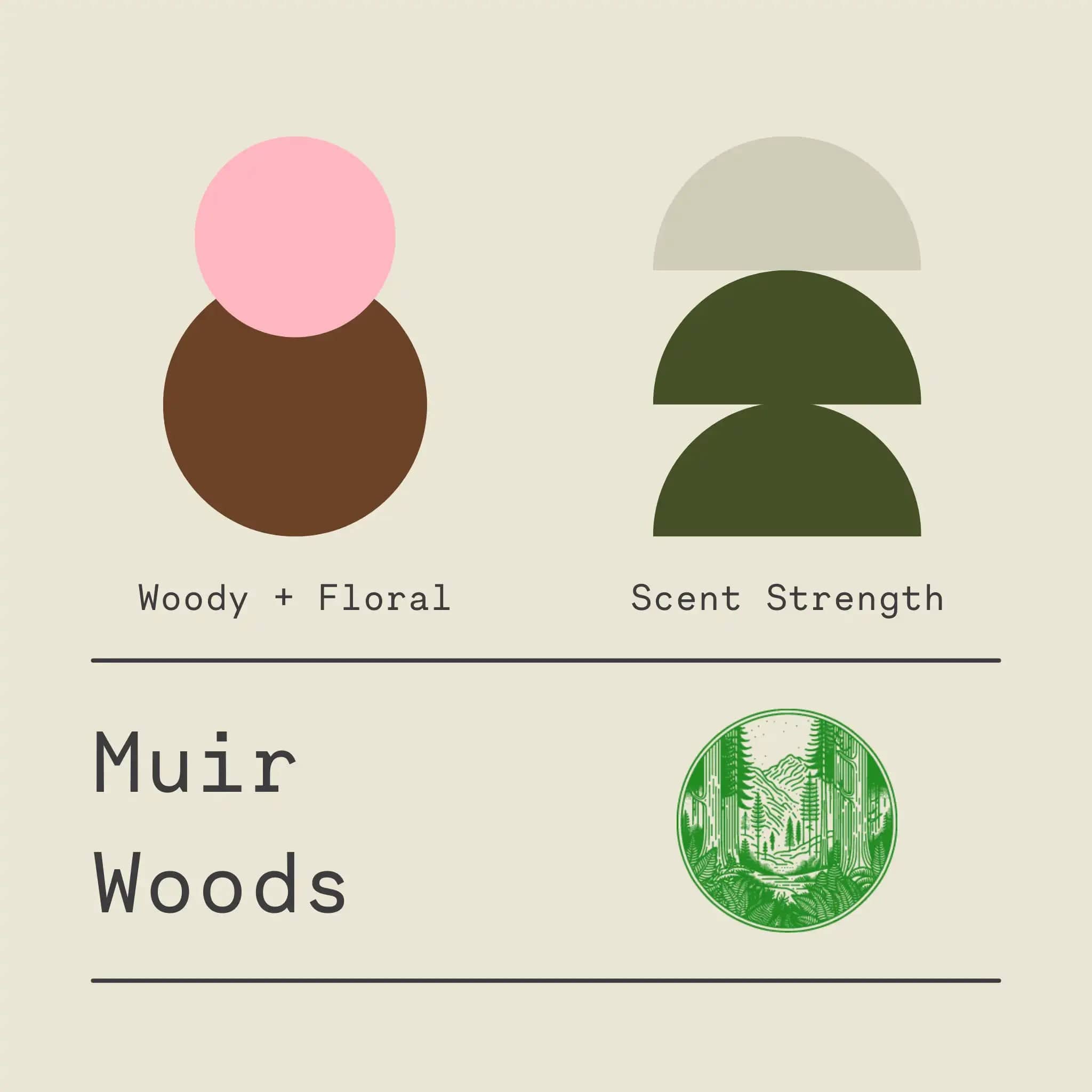 Sawdust & Embers Apothecary Candles Muir Woods - Signature Candle