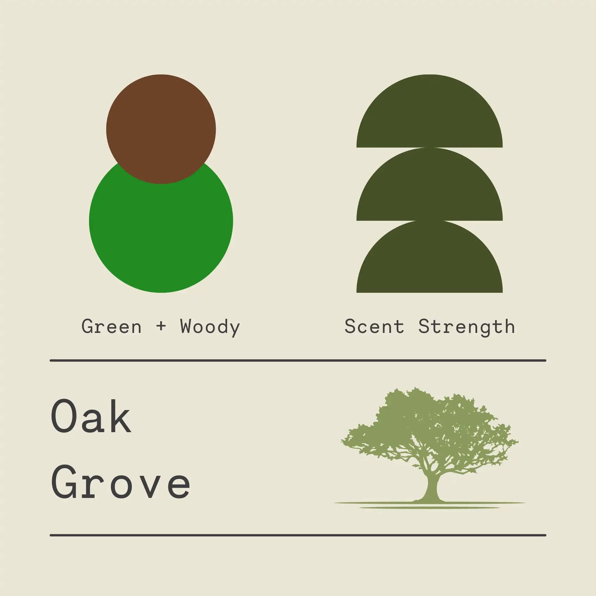 Sawdust & Embers Apothecary Candles Oak Grove - Signature Candle