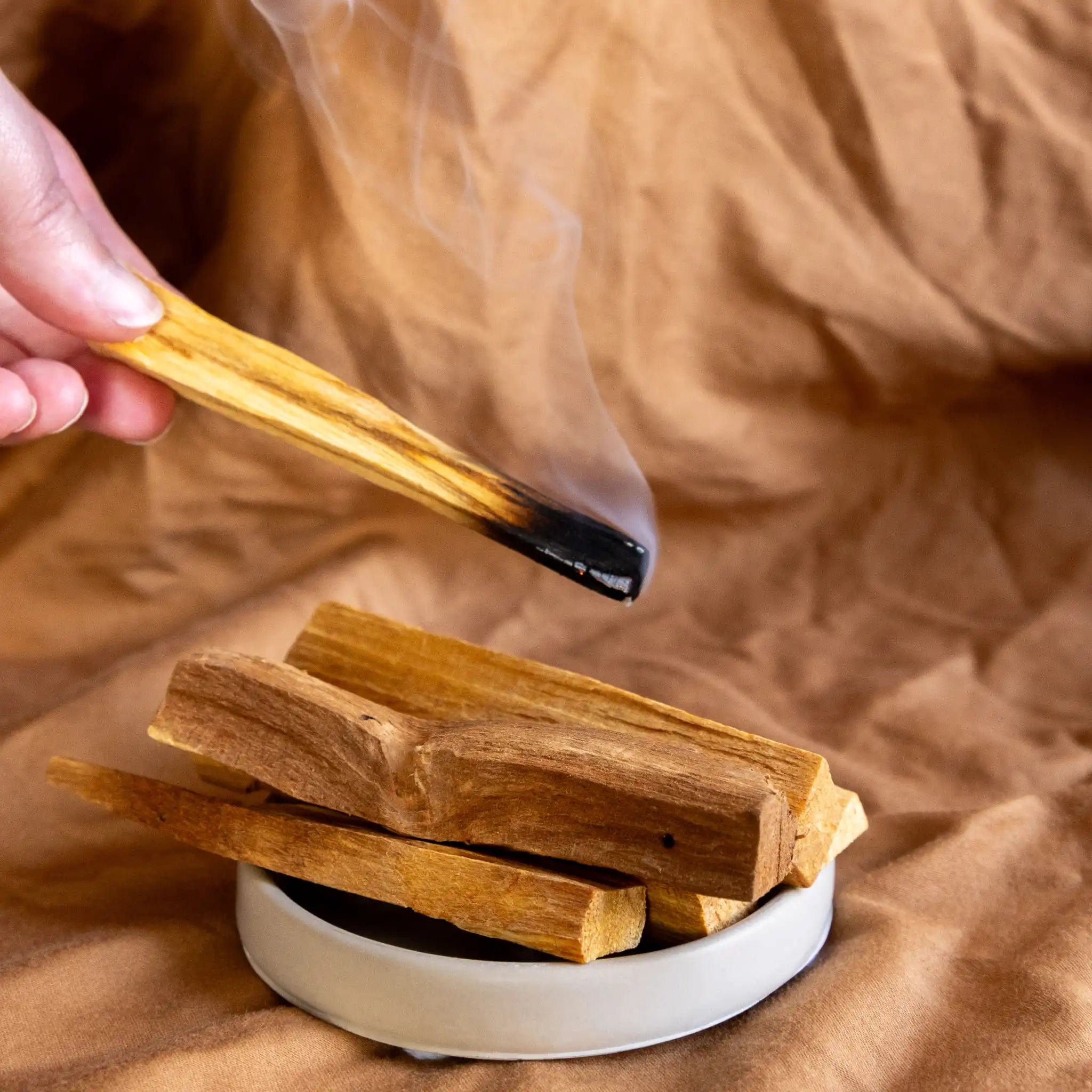 Sawdust & Embers Incense Palo Santo Sticks