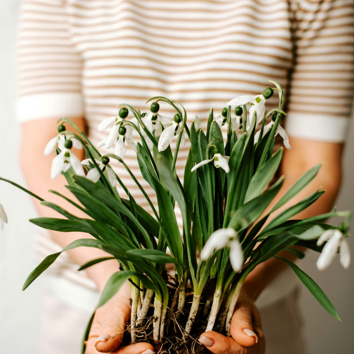 Spring Cleaning: Renewing Your Space for a Fresh Start