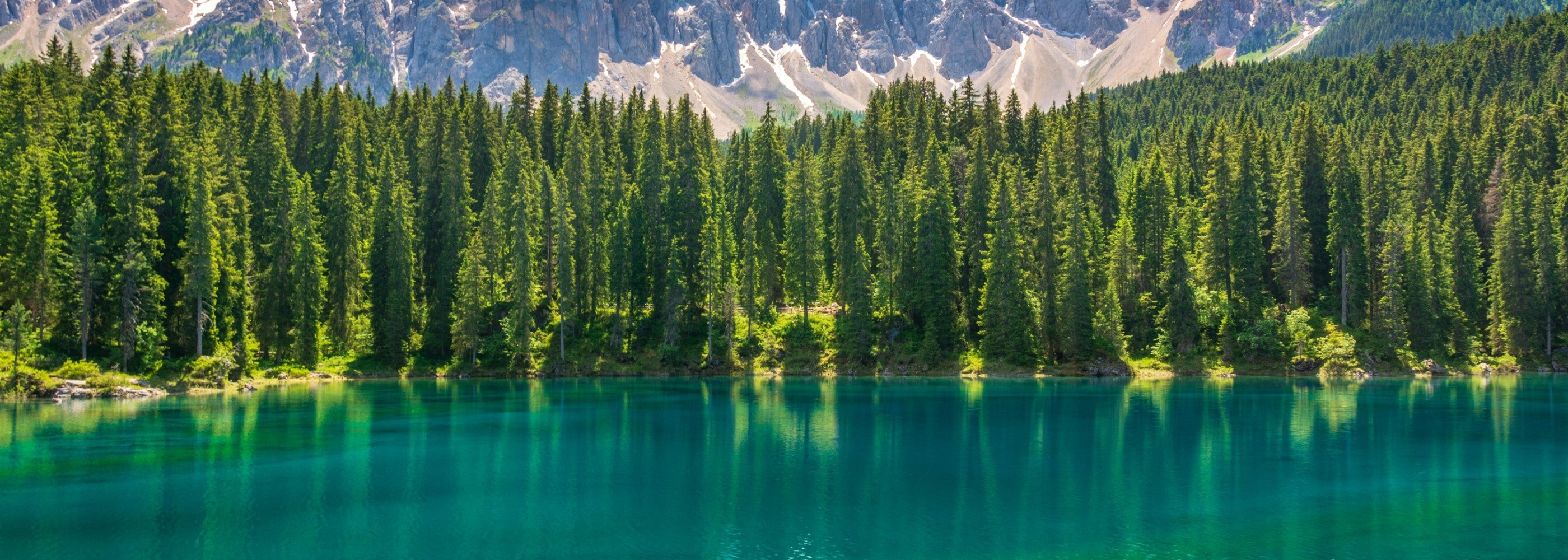 A serene landscape showing a crystal-clear lake surrounded by dense green forests with a backdrop of snow-capped mountains.