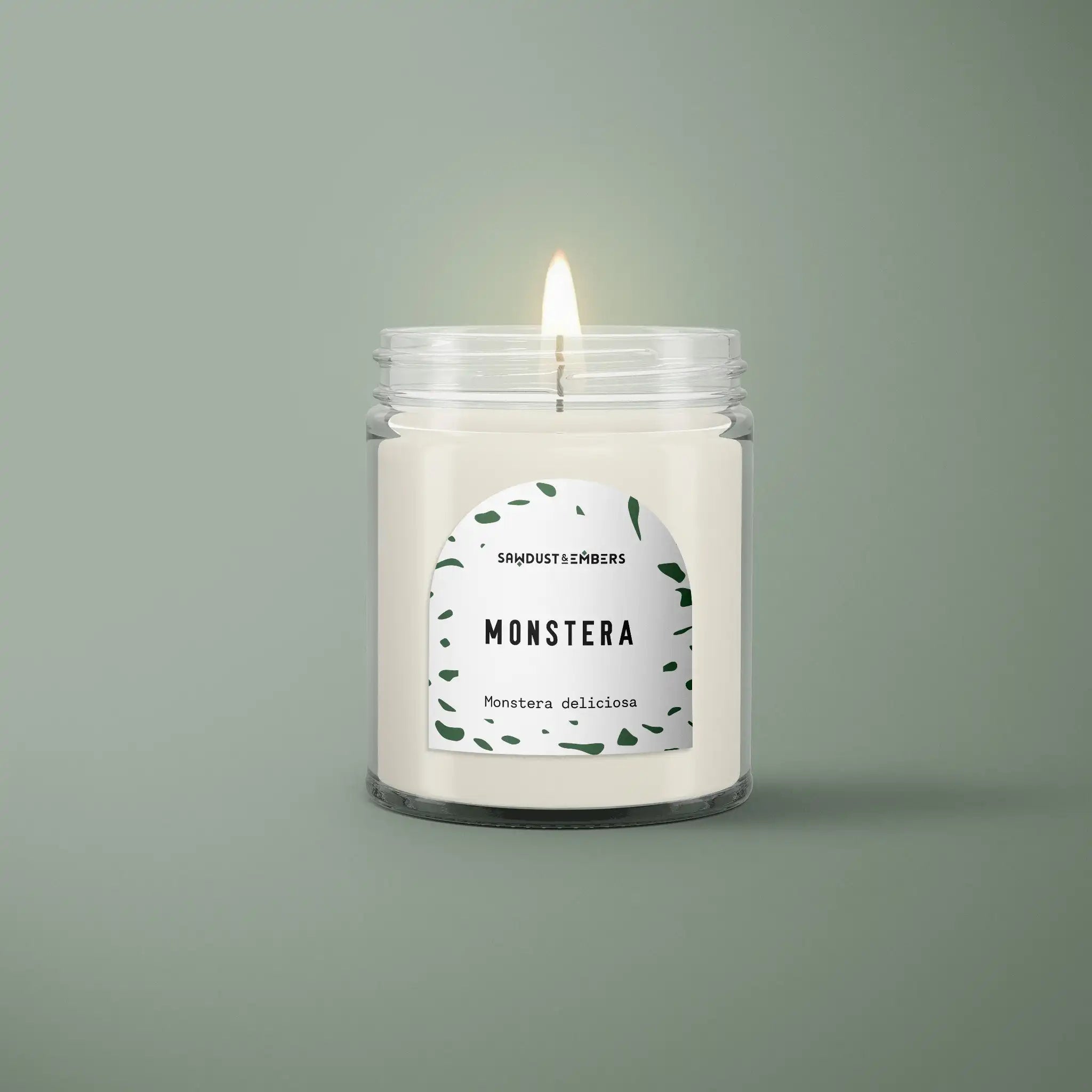 Monstera - 7.5 OZ Soy Candle
