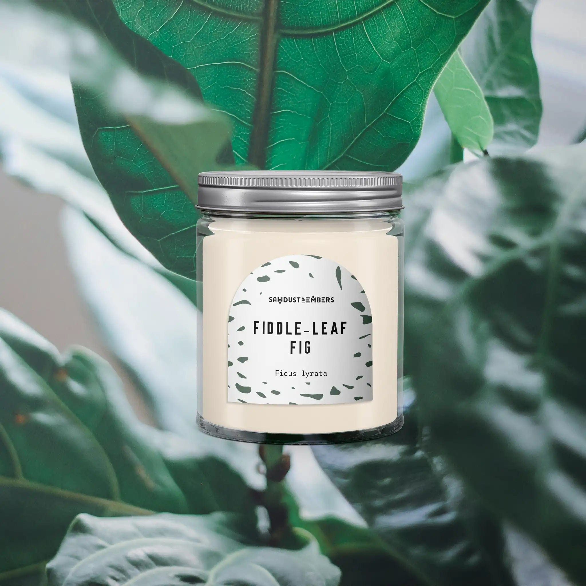 Sawdust & Embers Botanica Candles Fiddle-Leaf Fig - 7.5 OZ Soy Candle