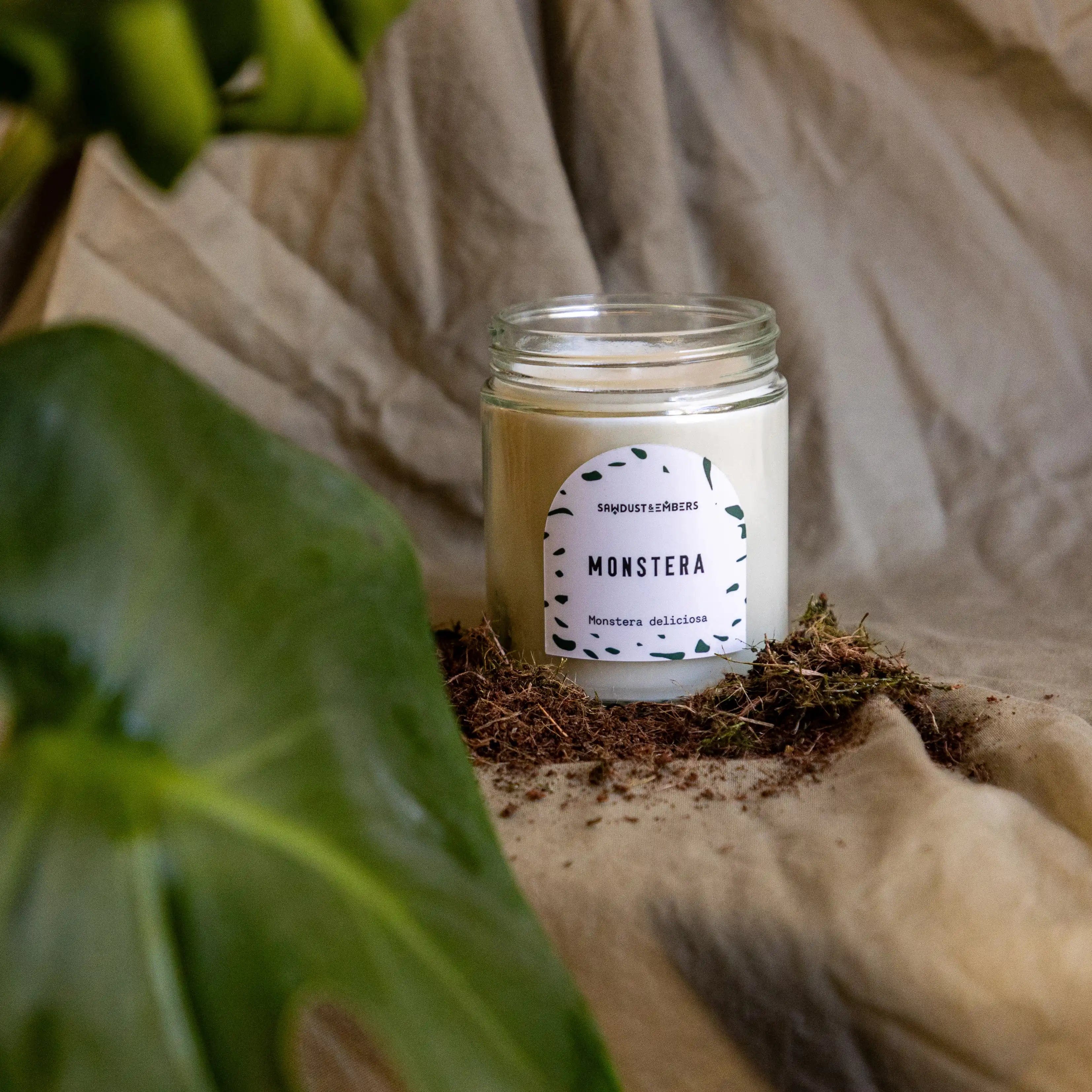 Sawdust & Embers Botanica Candles Monstera - 7.5 OZ Soy Candle