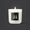 Sawdust & Embers Seasonal Candles Standard Northern Reverie – A Candle of Arctic Stillness and Nordic Tranquility